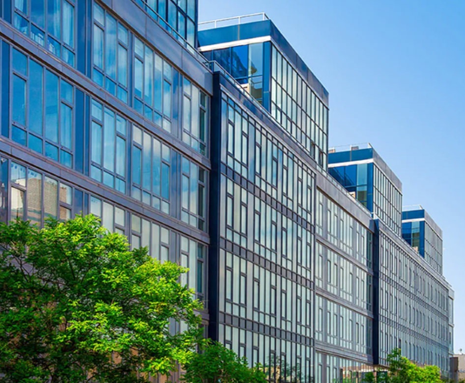 a row of buildings with trees